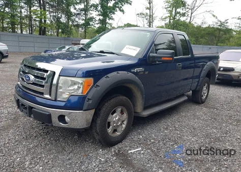2010 Ford F-150 Xlt z USA, uszkodzony, nr VIN 1FTFX1EV6AFB54842